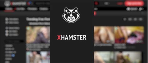 x hamster porno|This Weeks Best Porn Videos 